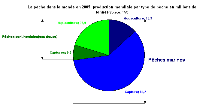 Rechstat-statistiques-conomie-la pche dans le monde en 2005